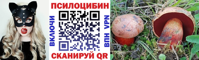 Галлюциногенные грибы мицелий  Перевоз 